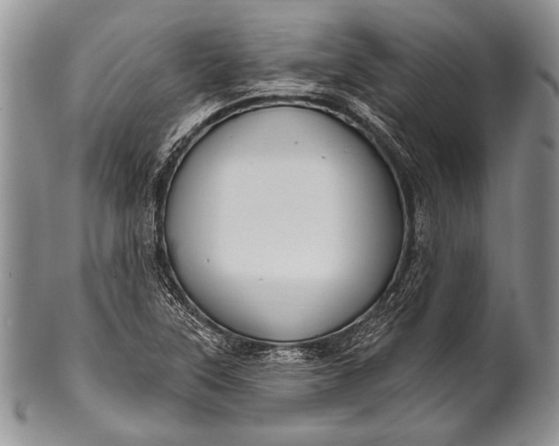 X0000100361315200806201555