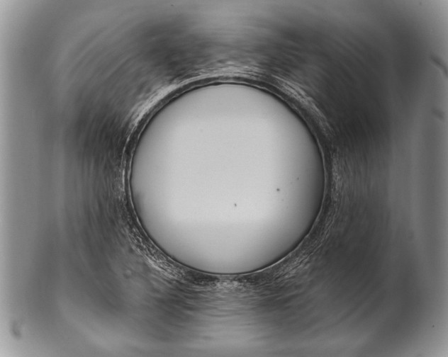 X0000100361316200806201555