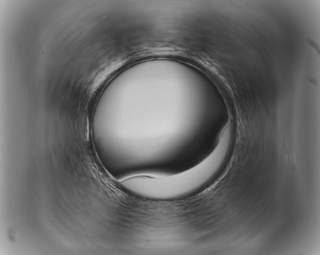 X0000100361317200806201555