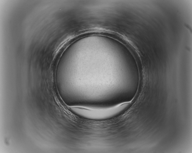 X0000100361318200806201555