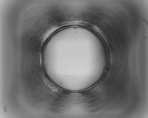 X0000100361320200806201555