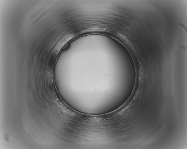 X0000100361321200806201555