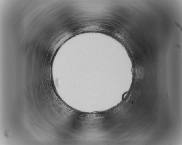 X0000100361322200806201555