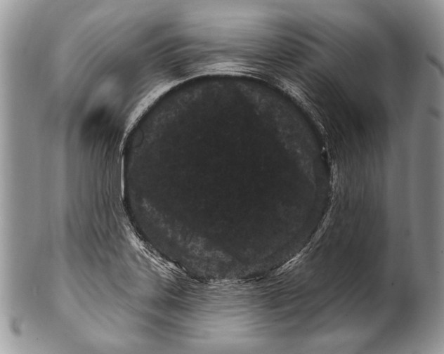 X0000100361323200806201555