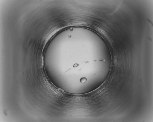 X0000100361324200806201555