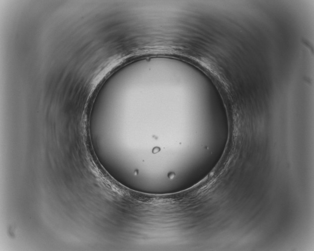 X0000100361325200806201555