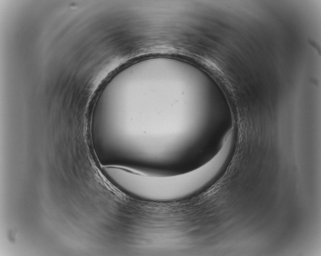 X0000100361326200806201555