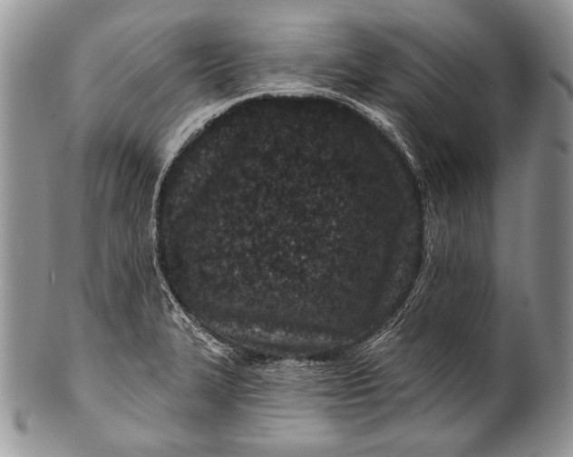 X0000100361327200806201555