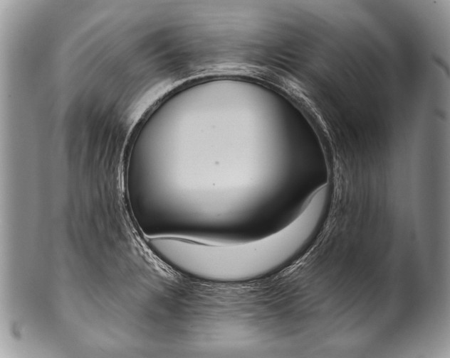 X0000100361328200806201555