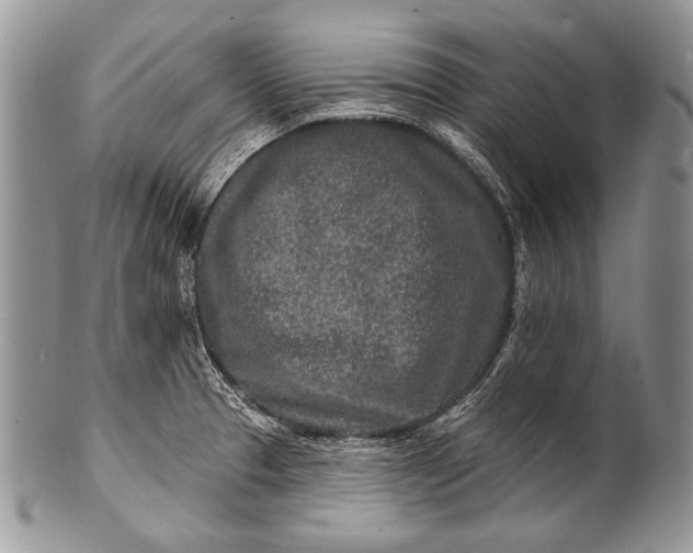 X0000100361329200806201555