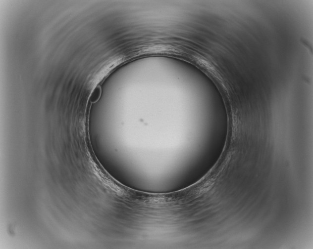 X0000100361330200806201555