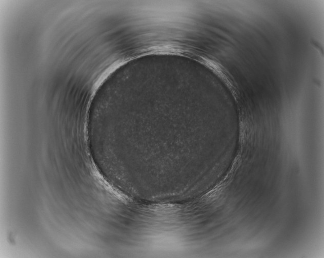 X0000100361331200806201555