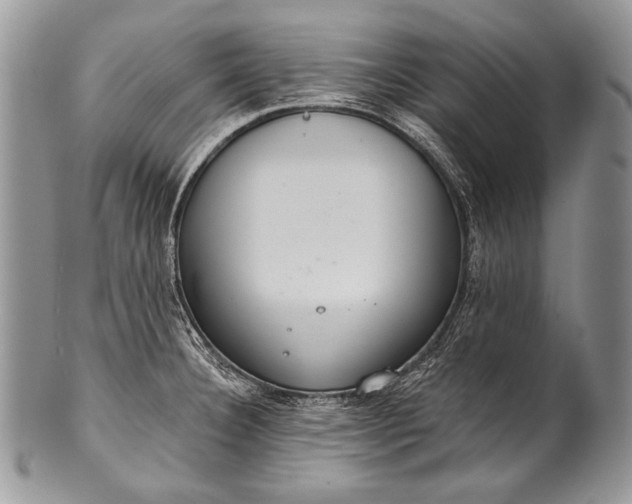 X0000100361332200806201555