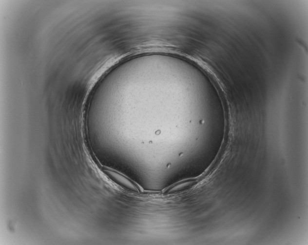 X0000100361333200806201555