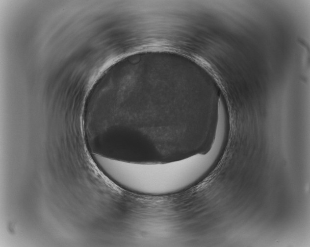 X0000100361334200806201555