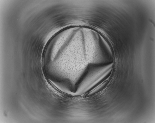 X0000100361335200806201555