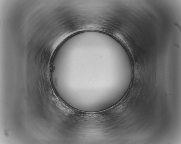 X0000100361336200806201555