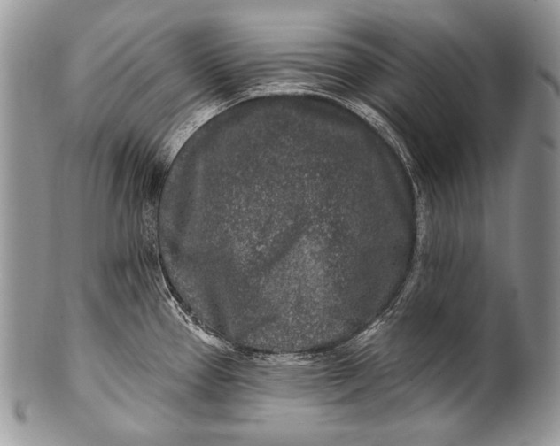 X0000100361337200806201555