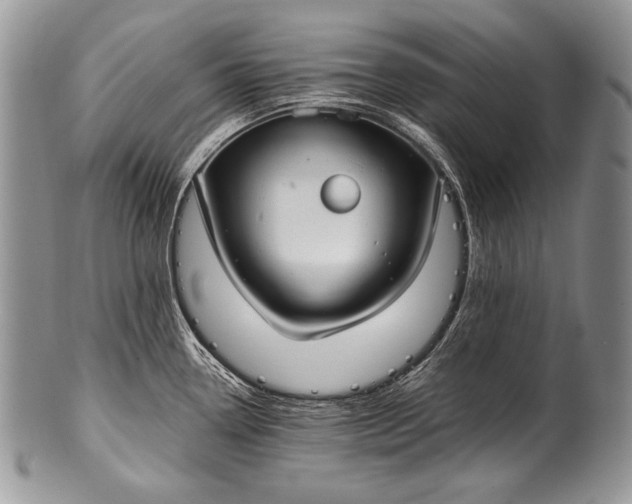 X0000100361338200806201555