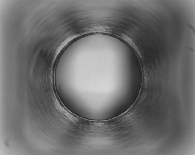 X0000100361339200806201555