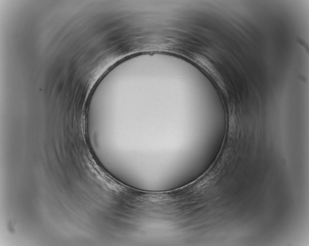 X0000100361340200806201555