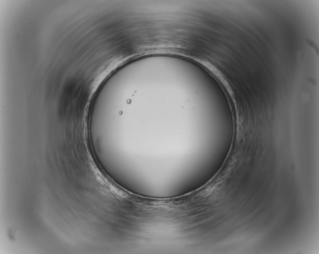 X0000100361341200806201555