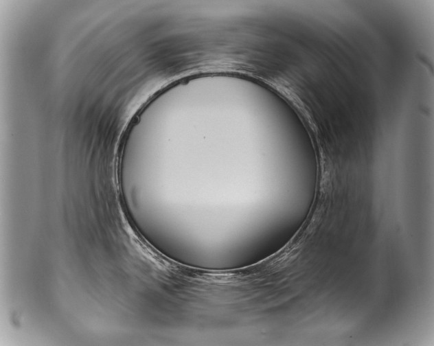 X0000100361342200806201555