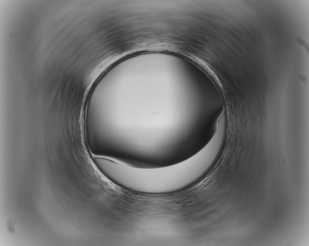 X0000100361343200806201555