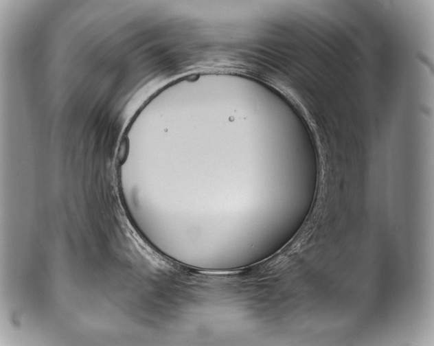 X0000100361344200806201555