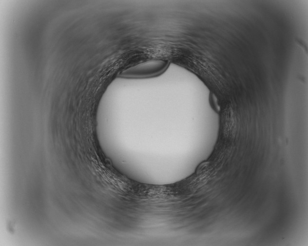 X0000100361345200806201555