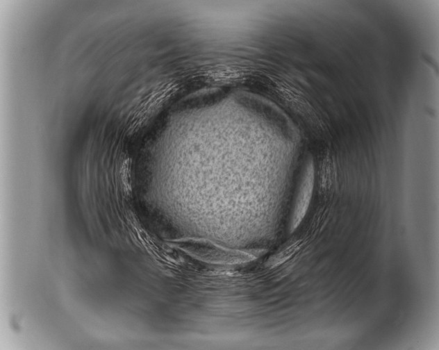 X0000100361346200806201555