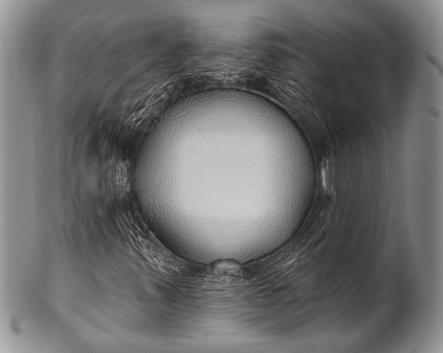 X0000100361347200806201555