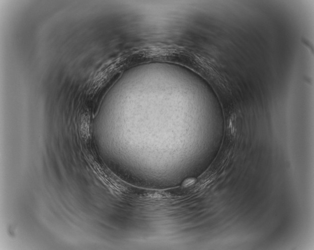 X0000100361348200806201555