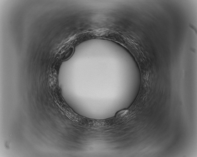 X0000100361349200806201555