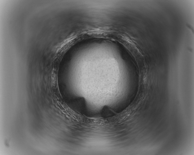 X0000100361350200806201555