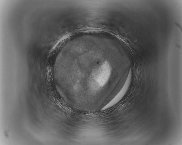 X0000100361351200806201555