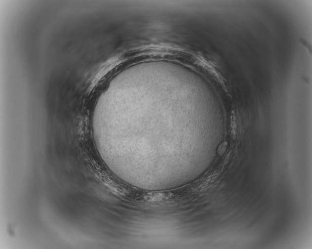 X0000100361352200806201555