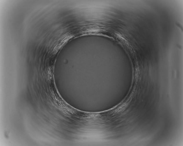 X0000100361353200806201555