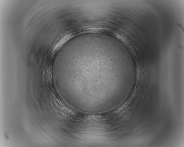 X0000100361354200806201555