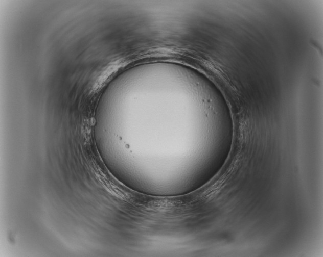 X0000100361355200806201554