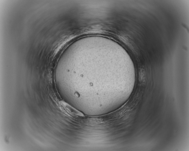 X0000100361356200806201554