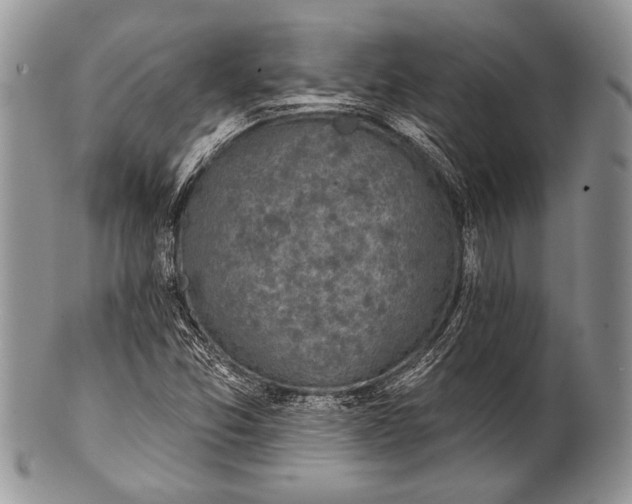 X0000100361357200806201554