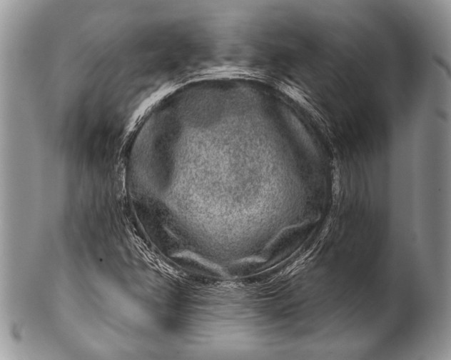 X0000100361358200806201554