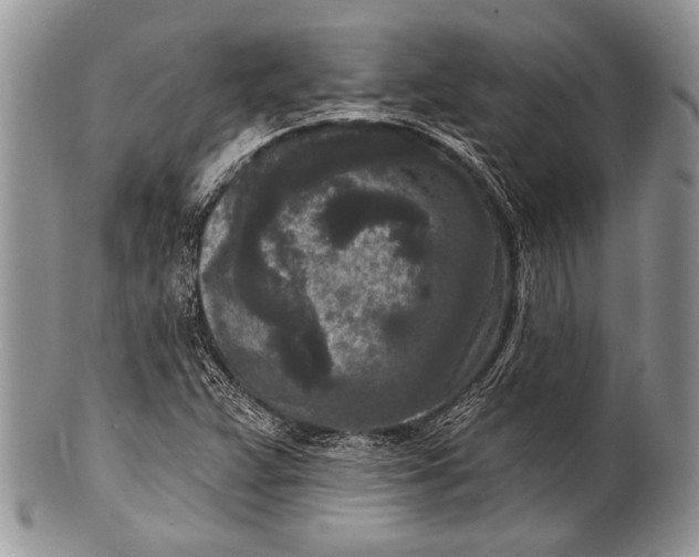 X0000100361359200806201554