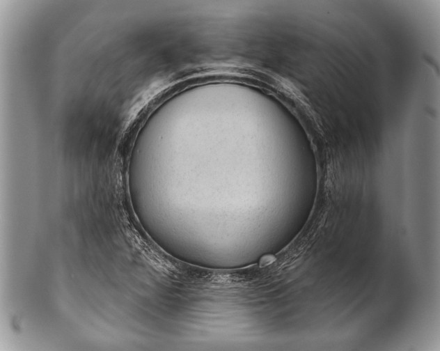 X0000100361360200806201554