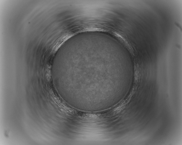 X0000100361361200806201554