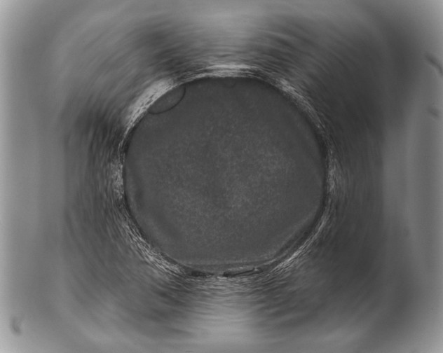 X0000100361362200806201554