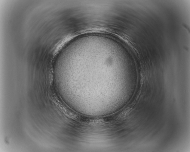 X0000100361363200806201554