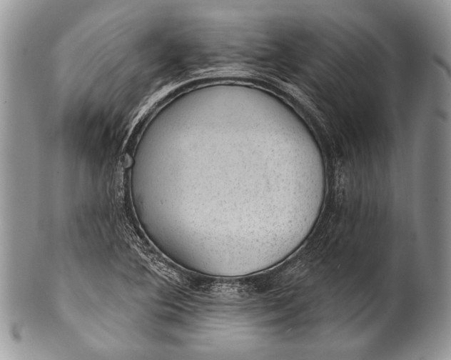 X0000100361364200806201554