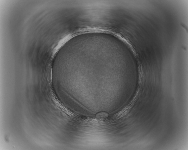 X0000100361365200806201554